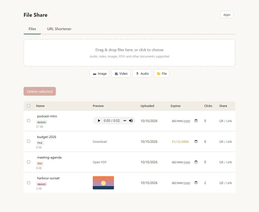 The admin page with a Files tab listing an audio clip, a CSV file, a PDF and an image, each with a preview, expiry date, click count and share links